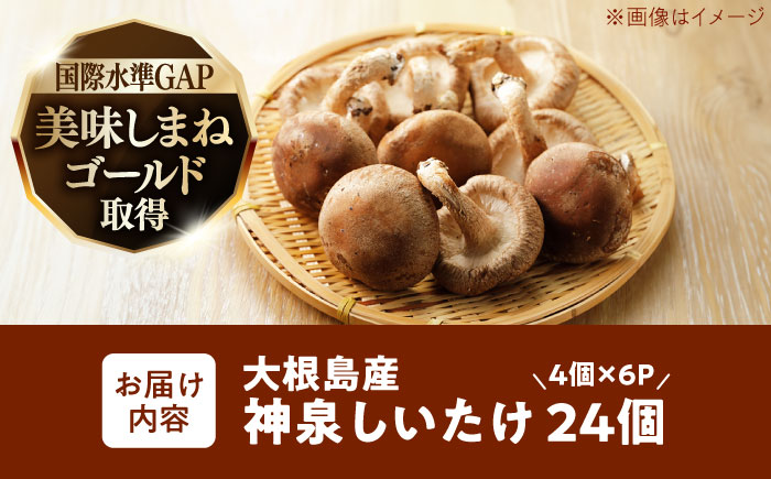 島採れとれたて 大根島産神泉しいたけ 4個入り×6パック 島根県松江市/株式会社ふぁーむ大根島 [ALCB006]