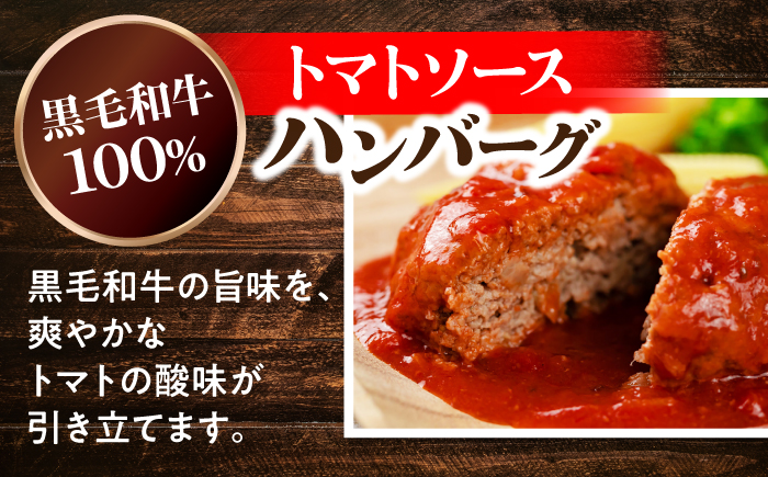 味くらべセット 5種セット デミグラスソースハンバーグ/トマトソースハンバーグ/牛ごぼう煮込み/牛スジこんにゃく煮込み/味噌だれホルモン 島根県松江市/株式会社MJビーフ [ALIO010]