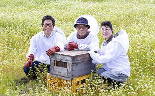 非加熱・非加工の生ハチミツ 桜蜂蜜と季節ごとの蜂蜜 4本 Bセット 島根県松江市/まつえ蜂蜜 [ALCK002]