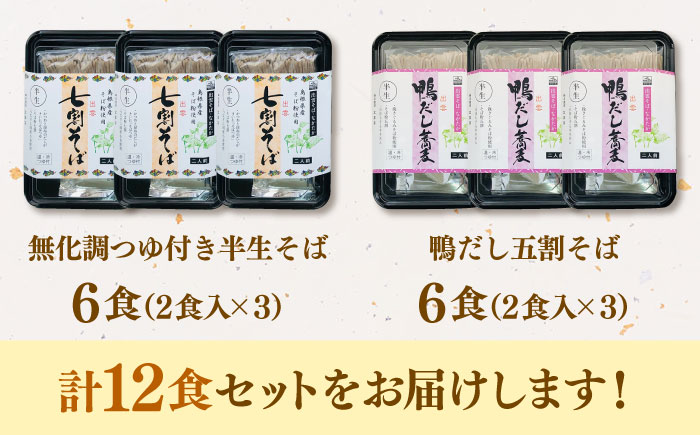 特選 出雲そば吟味詰め合わせ 島根県松江市/株式会社なかたか [ALBQ001]