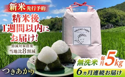 【全6回定期便】こだわり希少米 つきあかり 5kg×6回(計30kg) 新米 先行予約 無洗米 残留農薬不検出 島根県松江市/HALENO FARM [ALDR007]