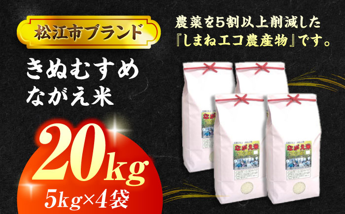 松江市産きぬむすめ「ながえ米」20kg(5kg×4) 島根県松江市/有限会社藤本米穀店 [ALCG016]