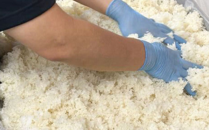 米麹の甘酒220g×10本「あげ、そげ、ばけ」限定ラベル 島根県松江市/合同会社スギナリ醸造所 [ALGY011]