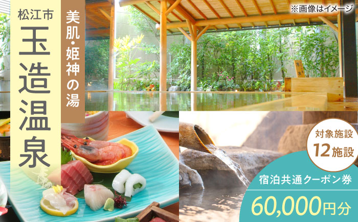 玉造温泉共通クーポン券 寄附額20万円 60000円分クーポン 島根県松江市/玉造温泉旅館協同組合 [ALHN003]