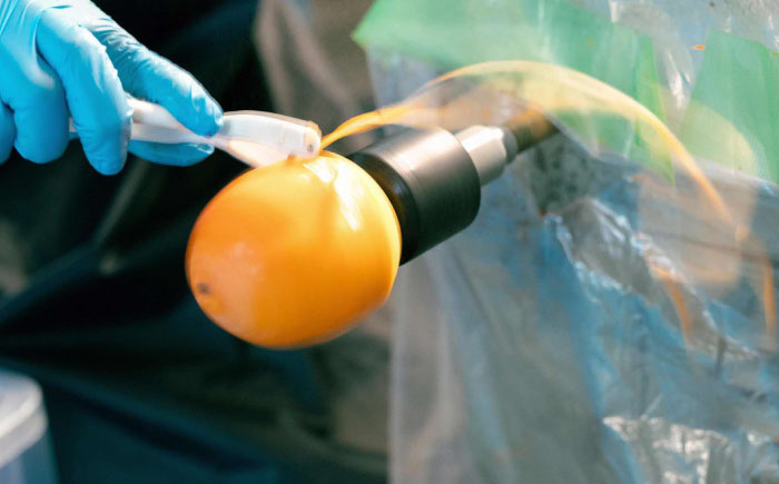 【先行予約】【2025年11月30日より順次発送】【数量限定80個】西条柿の美味しさを満喫！ドライフルーツと干し柿（L） セット 島根県松江市/須山農園 [ALBD002]