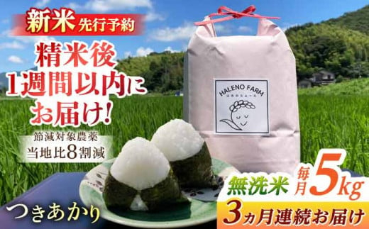 【全3回定期便】こだわり希少米 つきあかり 5kg×3回(計15kg) 新米 先行予約 無洗米 残留農薬不検出 島根県松江市/HALENO FARM [ALDR012]