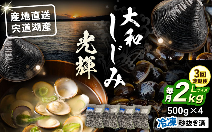 【全3回定期便】産地直送！ 宍道湖産 冷凍大和しじみLサイズ2kg(500g×4) 砂抜き処理済 島根県松江市/りすたむMatsue [ALDE010]