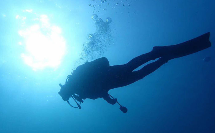一日中潜りつくそう♪ファンダイビング(3ボート)プラン 島根県松江市/合同会社LOCOBLUE [ALFE003]