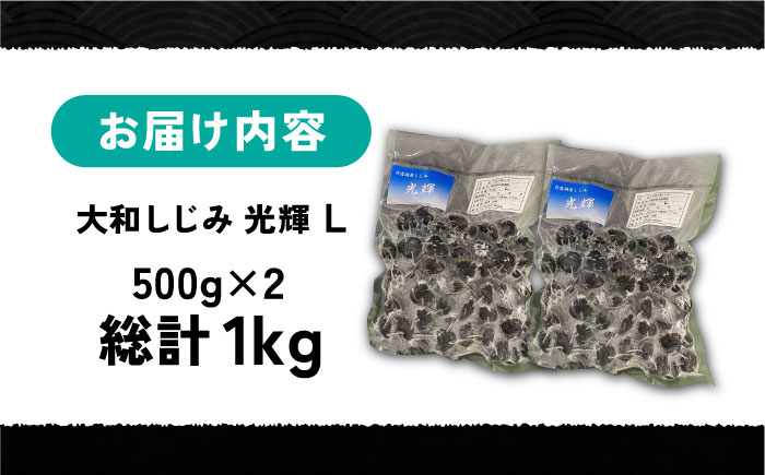 産地直送！宍道湖産 冷凍大和しじみLサイズ1kg(500g×2) 砂抜き処理済 島根県松江市/りすたむmatsue [ALDE006]