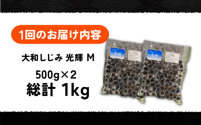 【全12回定期便】産地直送！宍道湖産 冷凍大和しじみMサイズ1kg(500g×2) 砂抜き処理済 島根県松江市/りすたむmatsue [ALDE021]