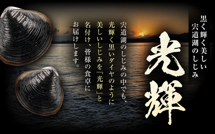 【全12回定期便】産地直送！宍道湖産 冷凍大和しじみMサイズ1kg(500g×2) 砂抜き処理済 島根県松江市/りすたむmatsue [ALDE021]