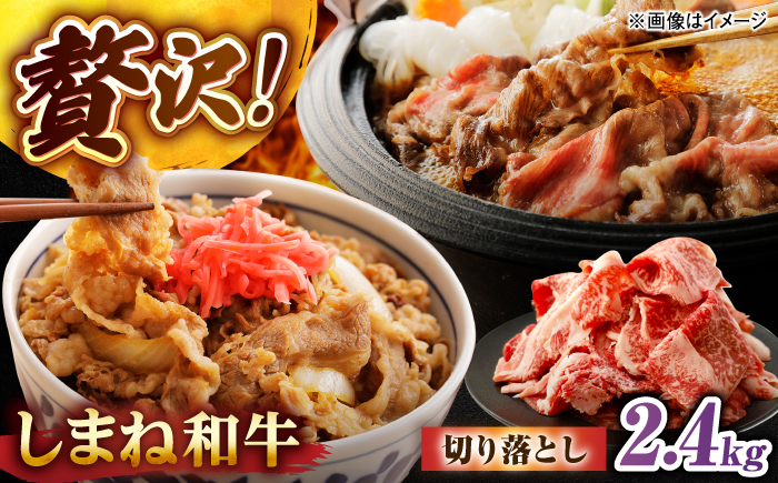 しまね和牛切り落とし 2.4kg(600g×4パック) 島根県松江市/株式会社さんれいフーズ [ALFR023]