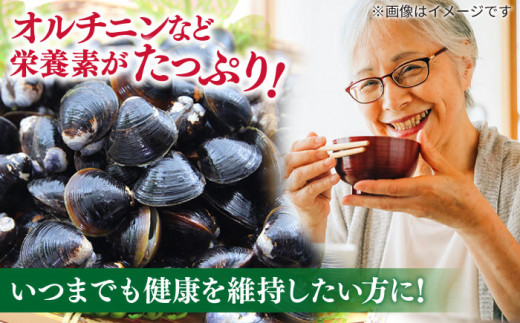 【砂抜き不要】お湯をそそぐだけ！宍道湖産しじみのみそ汁1食用×12袋セット 島根県松江市/平野醤油 [ALCA006]