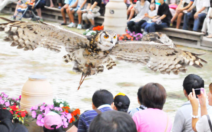 松江フォーゲルパーク入園券(大人2名様分) 島根県松江市/株式会社一畑パーク [ALHY001]