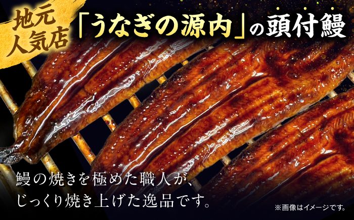 国産うなぎの蒲焼×2尾（頭付き）鰻 ウナギ かば焼き 島根県松江市/うなぎの源内 [ALHE002]