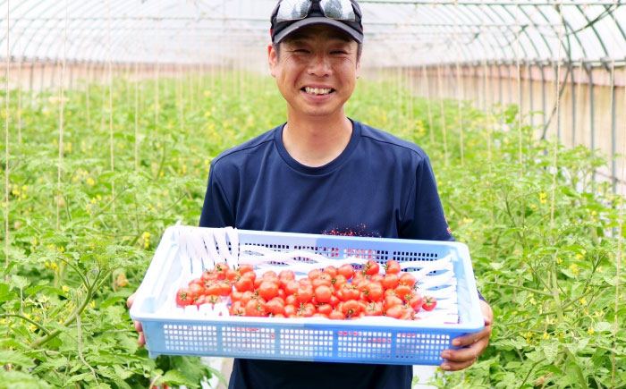 【飲み比べ】チェリートマトジュース180ml×5本入 島根県松江市/有限会社安藤農園 [ALID007]
