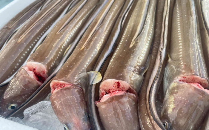 煮あなご3枚セット 島根県松江市/海ひこ株式会社 [ALDY011]