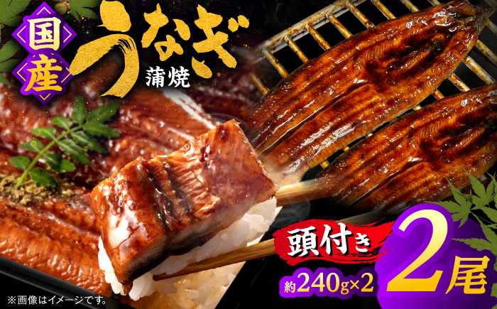 国産うなぎの蒲焼×2尾（頭付き）鰻 ウナギ かば焼き 島根県松江市/うなぎの源内 [ALHE002]