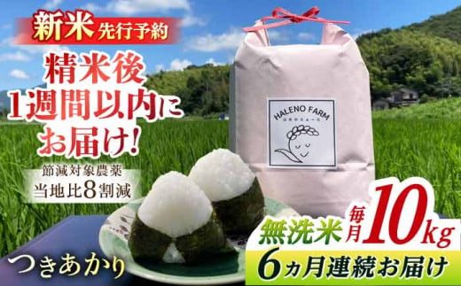 【全6回定期便】こだわり希少米 つきあかり 10kg×6回(計60kg) 新米 先行予約 無洗米 残留農薬不検出 島根県松江市/HALENO FARM [ALDR008]