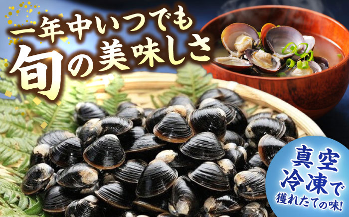 生産量日本一！宍道湖産 ヤマトシジミLサイズ(真空冷凍) 80g×20袋 島根県松江市/有限会社日本シジミ研究所 [ALBS002]