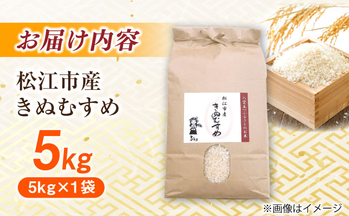 ＼新生活応援企画！／【数量限定50個】【4月末まで！】豊かな自然が育んだお米 松江市産きぬむすめ 5kg 島根県松江市/フジキコーポレーション株式会社 [ALDS020]