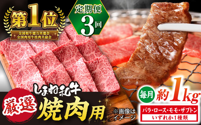 【全3回定期便】極上厳選！受賞歴多数 しまね和牛 焼肉 計3.0kg 島根県松江市/株式会社O.R.C [ALEF080]