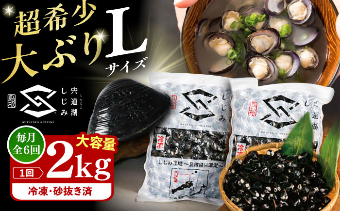 【全6回定期便】地元でも入手困難なレアサイズ！ Lサイズ 宍道湖産ヤマトシジミ(冷凍砂抜き済み)1kg×2袋(2kg) 島根県松江市/宍道湖漁業協同組合 [ALAZ010]