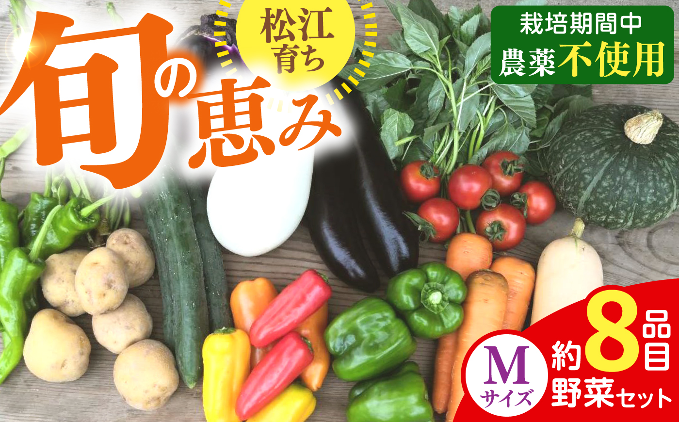 【旬の野菜セットMサイズ 野菜8品目】島根県松江市/須山農園 [ALBD004]