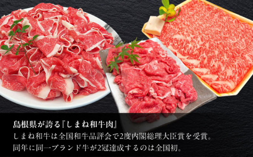 【全6回定期便】しまね和牛肉 定期便【高級 焼肉勇花理(ゆうかり)】 島根県松江市/有限会社おき精肉店 [ALFT005]