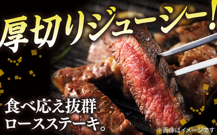 【ブランド牛・しまね和牛】ロース(サーロイン・リブ)ステーキ 220g×4枚 島根県松江市/Do corporation株式会社（しまね和牛） [ALFU016]