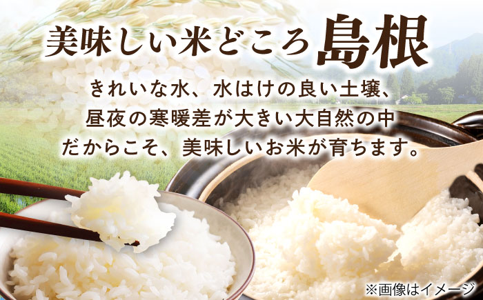 ＼新生活応援企画！／【数量限定50個】【4月末まで！】豊かな自然が育んだお米 松江市産きぬむすめ 5kg 島根県松江市/フジキコーポレーション株式会社 [ALDS020]