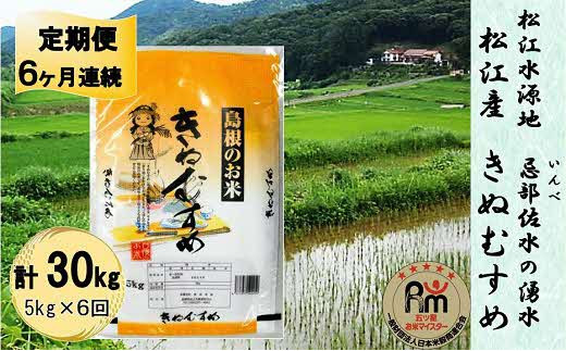 【全6回定期便】松江産忌部地区きぬむすめ5kg×6回 島根県松江市/有限会社原田米穀 [ALBW008]