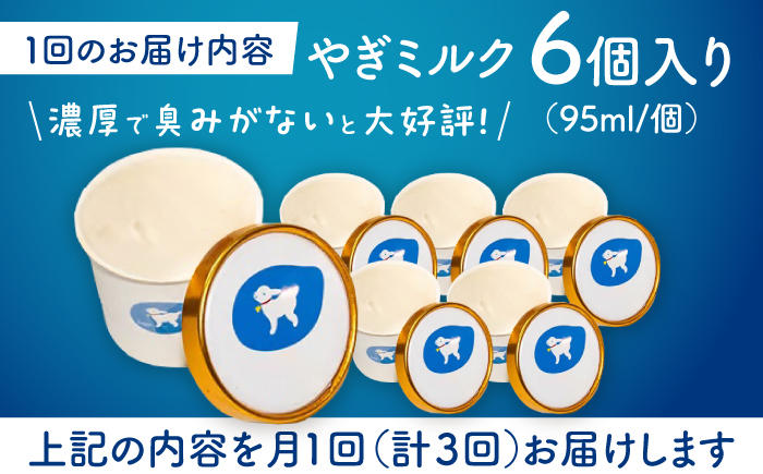 【全3回定期便】塩やぎミルクジェラート 6個入り 島根県松江市/SOh株式会社 [ALAC007]