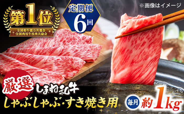 【全6回定期便】極上厳選！受賞歴多数 しまね和牛 しゃぶしゃぶ/すき焼き用 計約6.0kg 島根県松江市/株式会社O.R.C [ALEF110]