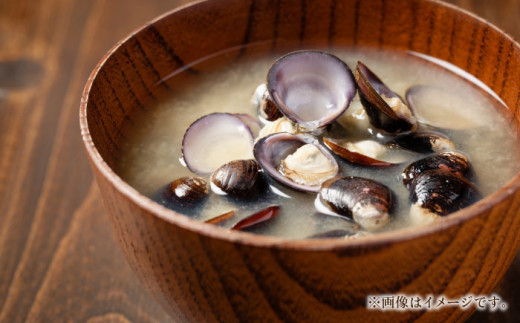 宍道湖産しじみ2Lサイズ2kg(生鮮･砂抜済･活しじみ)鮮度抜群でお送りする･貴重な特大粒！ 島根県松江市/有限会社藤本米穀店 [ALCG009]