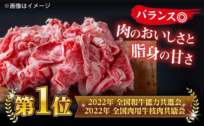【全6回定期便】極上厳選！受賞歴多数 しまね和牛 スライス(500g) 島根県松江市/株式会社O.R.C [ALEF068]