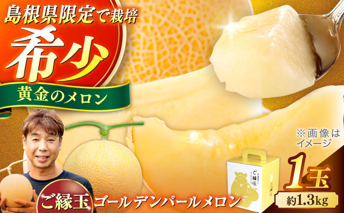 ゴールデンパールメロン1.3kg×1玉 島根県松江市/有限会社安藤農園 [ALID010]