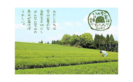 宝箱のまつえ有機ほうじ茶 島根県松江市/有限会社宝箱 [ALBI012]