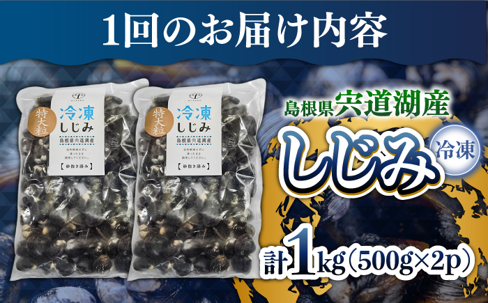 【全12回定期便】超希少！特大粒プレミアムサイズ 宍道湖産冷凍大和しじみ 特大粒500g×2袋 島根県松江市/平野缶詰有限会社 [ALBZ044]