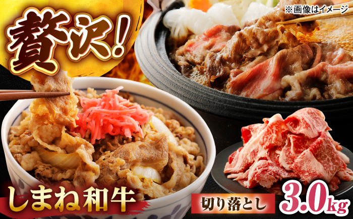しまね和牛切り落とし 3.0kg(600g×5パック)  島根県松江市/株式会社さんれいフーズ [ALFR024]