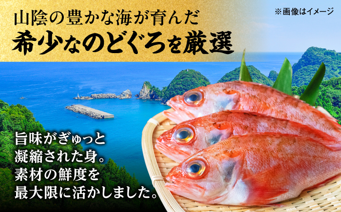 山陰沖産のどぐろ一夜干し100g以上×3 島根県松江市/平野缶詰有限会社 [ALBZ060]