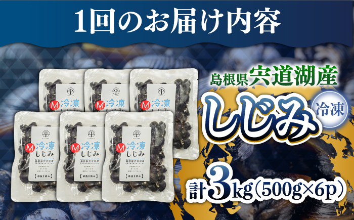 【全6回定期便】食べる分だけさっと使える！宍道湖産 冷凍大和しじみ (M)500g×6袋 島根県松江市/平野缶詰有限会社 [ALBZ034]