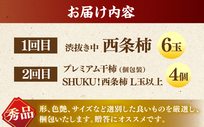 【先行予約】【全2回定期便】柿の贅沢セット！ 合わせ柿6玉 プレミアム干し柿SHUKU  L玉以上4玉   島根県松江市/マルカミ農縁株式会社 [ALCM017]