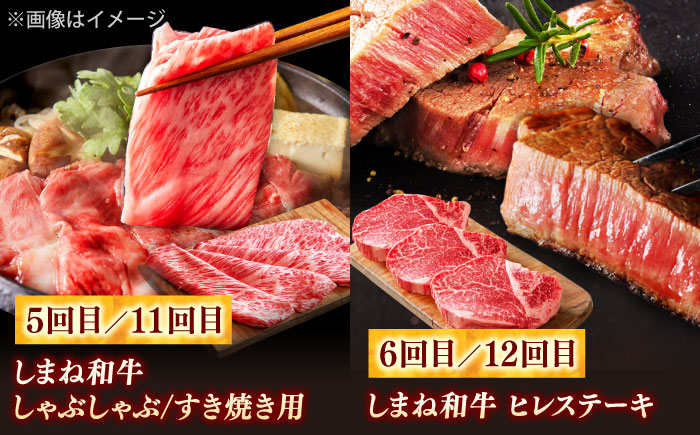 【全12回定期便】叉鬼の焼肉酒場 豪華特別セット！（ハラミ・牛タン・厳選焼肉・スライス・しゃぶしゃぶ/すき焼き・ヒレステーキ）計8.2kg　島根県松江市/株式会社O.R.C [ALEF014]