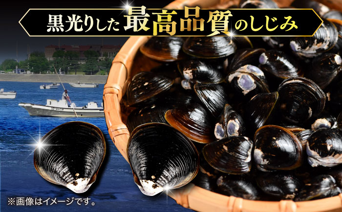 砂抜き不要！宍道湖産 活ヤマトシジミ 生しじみ 2kg 島根県松江市/株式会社漁師村 [ALDN003]