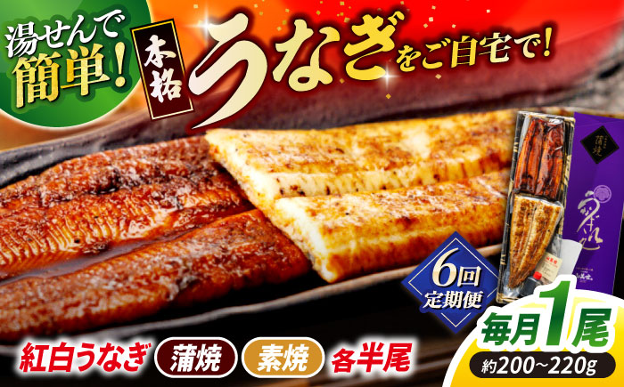 【6回定期便】うなぎ老舗専門店のパリっとふっくら 紅白うなぎ 蒲焼・素焼半身　(真空パック/秘伝のタレ・藻塩付き) 島根県松江市/株式会社山美世商会 [ALDC017]