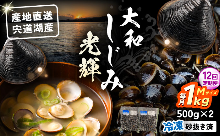 【全12回定期便】産地直送！宍道湖産 冷凍大和しじみMサイズ1kg(500g×2) 砂抜き処理済 島根県松江市/りすたむMatsue [ALDE021]