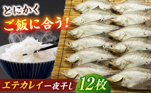 ほかほかのご飯にぴったり！恵曇エテカレイ一夜干しセット×12尾 島根県松江市/有限会社丸三商店 [ALCP003]