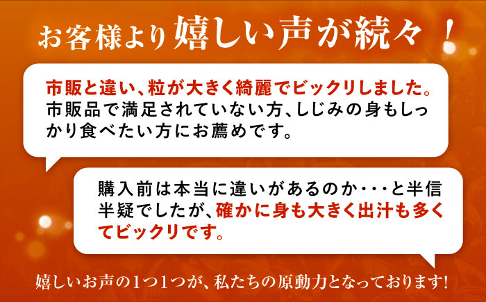 【全12回定期便】産地直送！宍道湖産 冷凍大和しじみMサイズ1kg(500g×2) 砂抜き処理済 島根県松江市/りすたむmatsue [ALDE021]