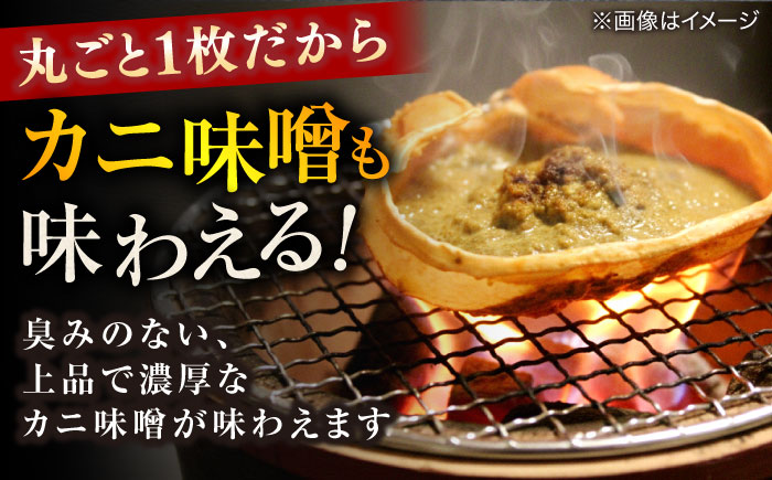 急速冷凍で旨みをぎゅっと閉じ込めた！松葉ガニボイル姿800g以上(1〜2枚) 島根県松江市/中浦食品株式会社[ALBO002]
